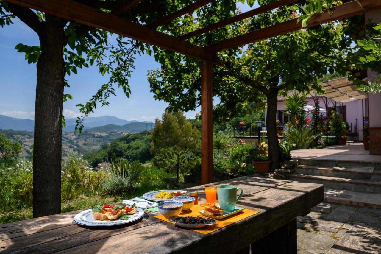 أولياسترو تشيلنتو B&B Albachiara Casa Di Campagna المظهر الخارجي الصورة
