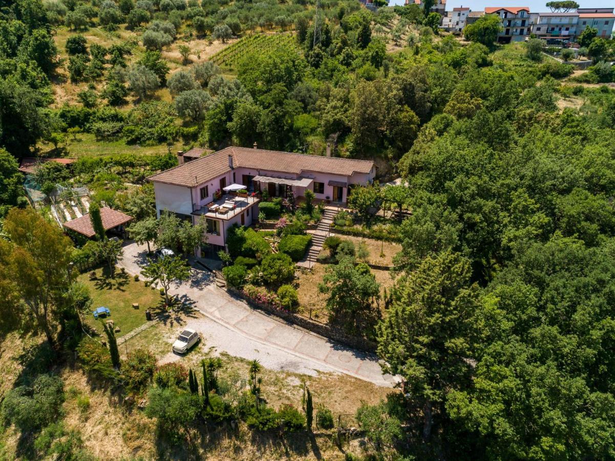 أولياسترو تشيلنتو B&B Albachiara Casa Di Campagna المظهر الخارجي الصورة