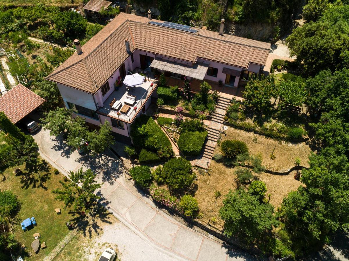 أولياسترو تشيلنتو B&B Albachiara Casa Di Campagna المظهر الخارجي الصورة