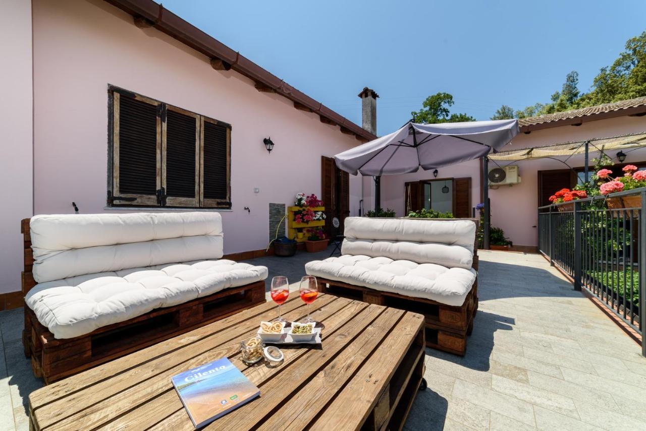أولياسترو تشيلنتو B&B Albachiara Casa Di Campagna المظهر الخارجي الصورة