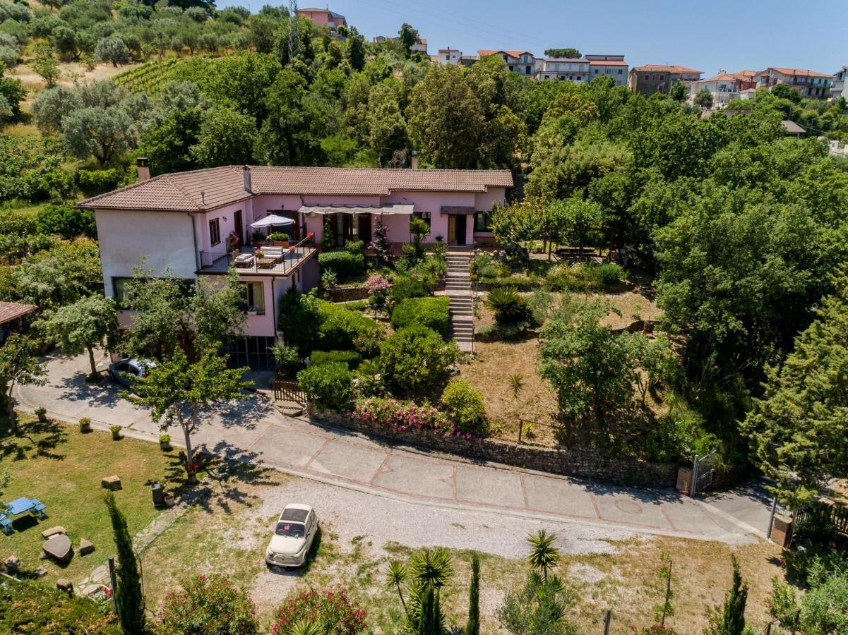 أولياسترو تشيلنتو B&B Albachiara Casa Di Campagna المظهر الخارجي الصورة