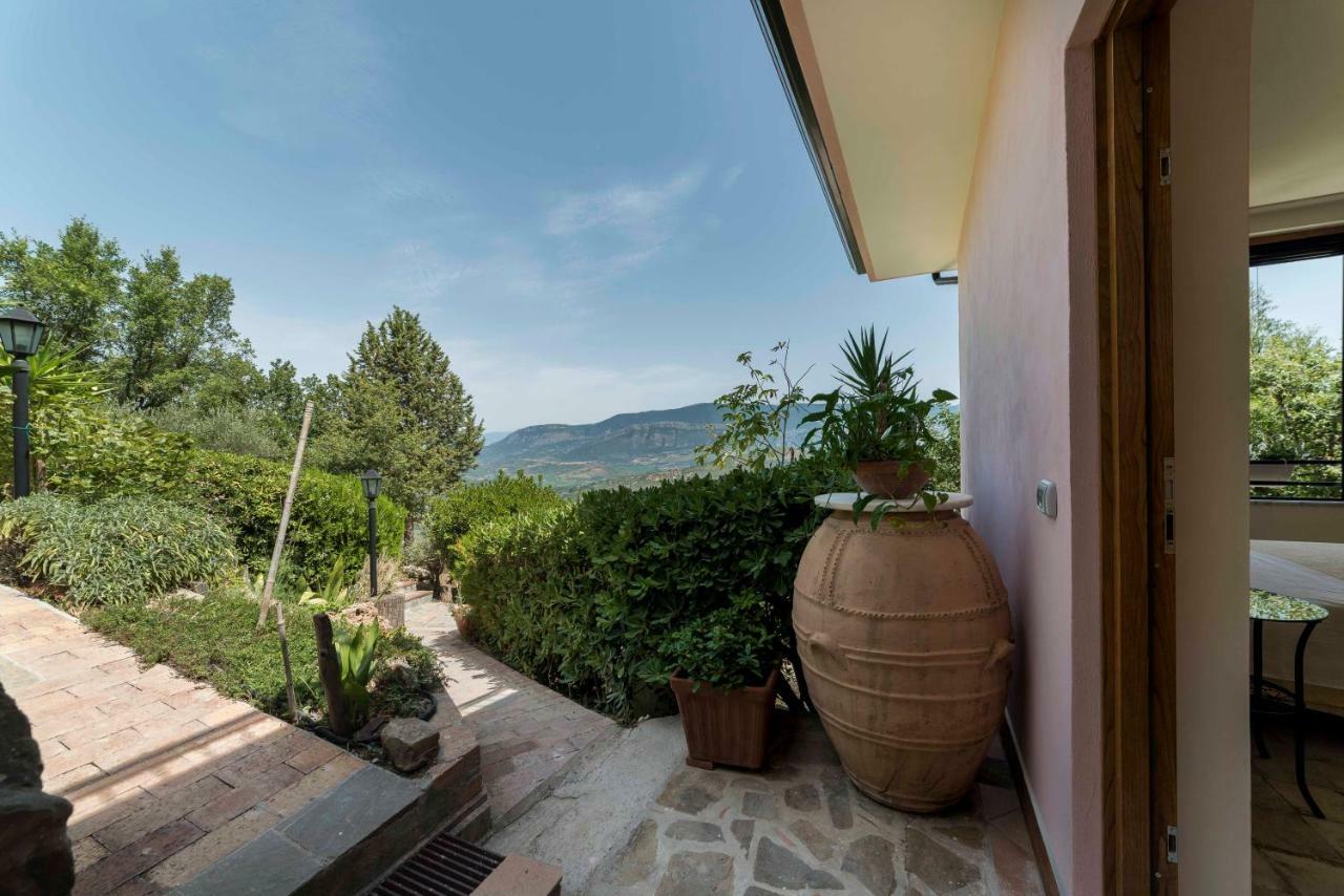 أولياسترو تشيلنتو B&B Albachiara Casa Di Campagna المظهر الخارجي الصورة