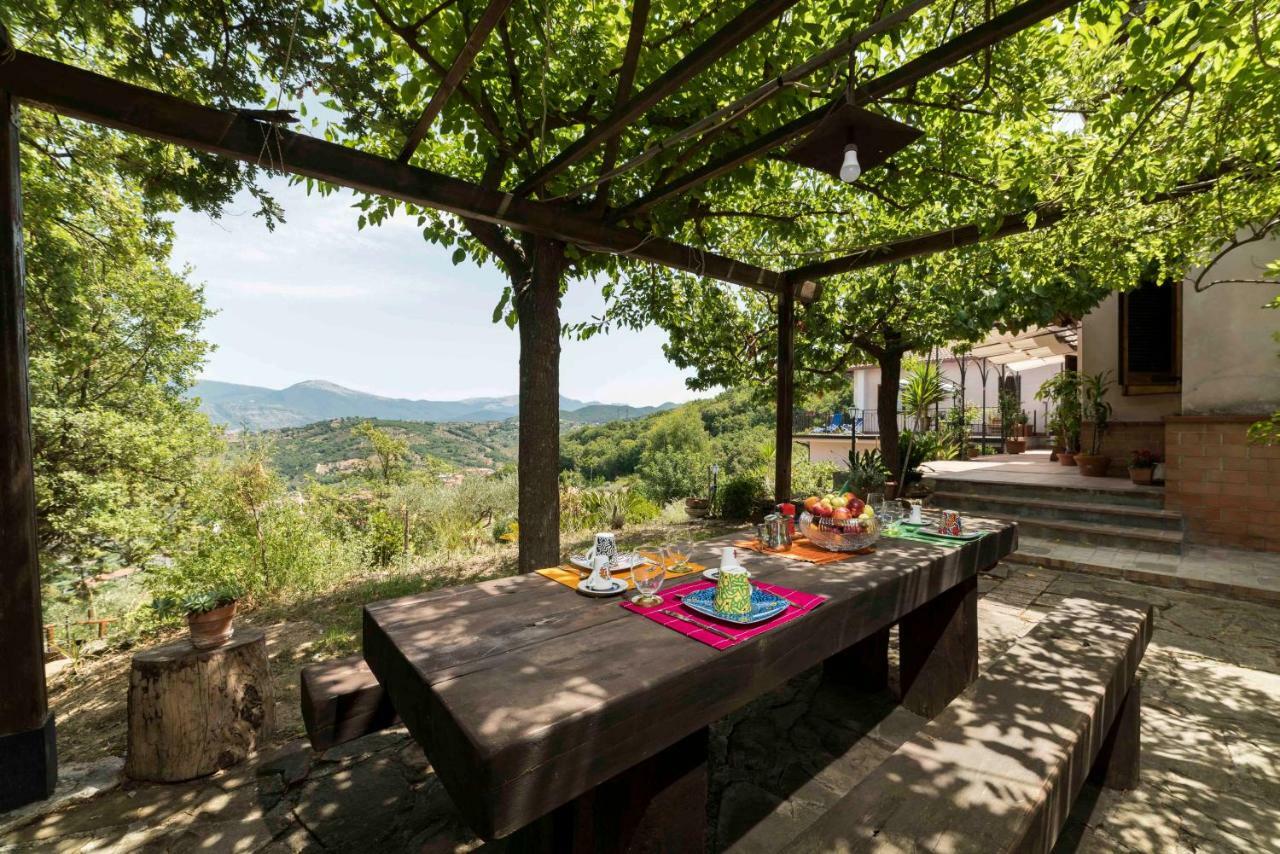 أولياسترو تشيلنتو B&B Albachiara Casa Di Campagna المظهر الخارجي الصورة
