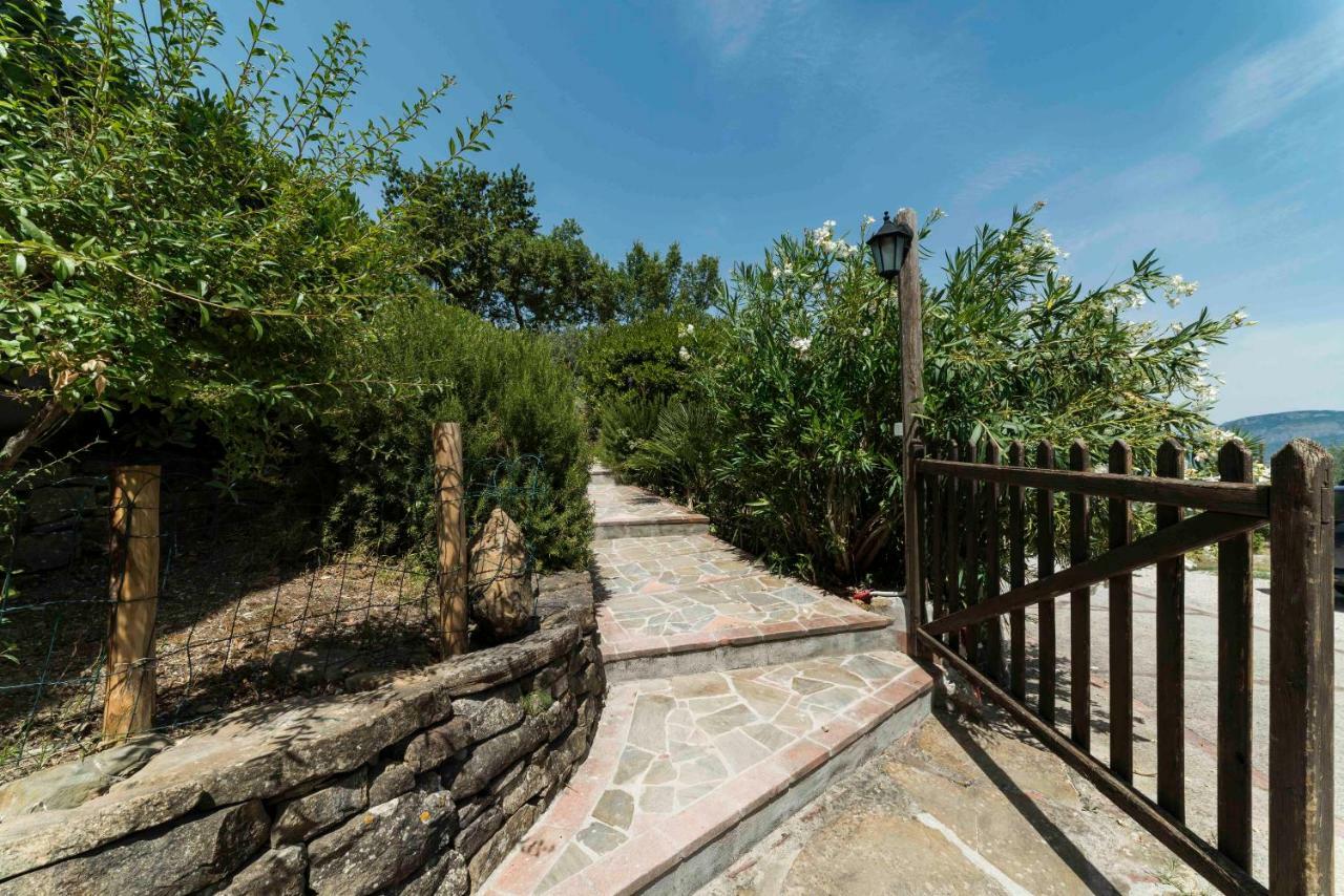 أولياسترو تشيلنتو B&B Albachiara Casa Di Campagna المظهر الخارجي الصورة