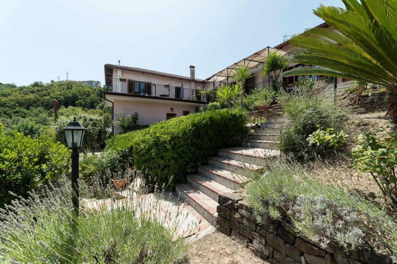 أولياسترو تشيلنتو B&B Albachiara Casa Di Campagna المظهر الخارجي الصورة